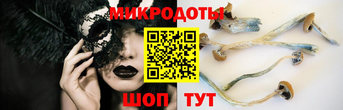 Галлюциногенные грибы MAGIC MUSHROOMS  Галлюциногенные грибы Magic Shrooms  Вход с VPN  где купить наркотик  Воскресенск 